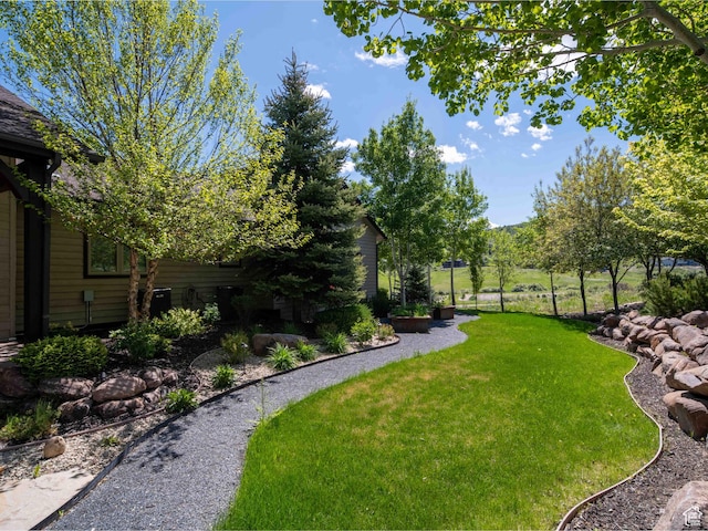 1049 S Meadow Lark Ln E, Huntsville, UT 84317 - view of green lawn
