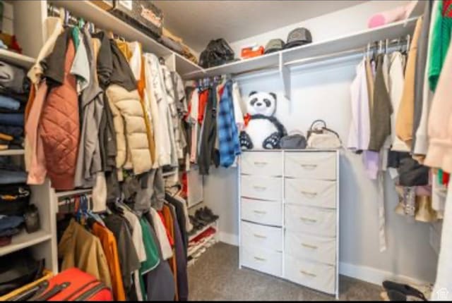 910 N 260 W, Santaquin, UT 84655 - spacious closet with dark colored carpet