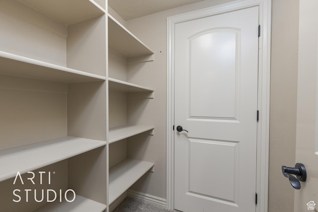 2445 E 2860 S, St George, UT 84790 - view of pantry
