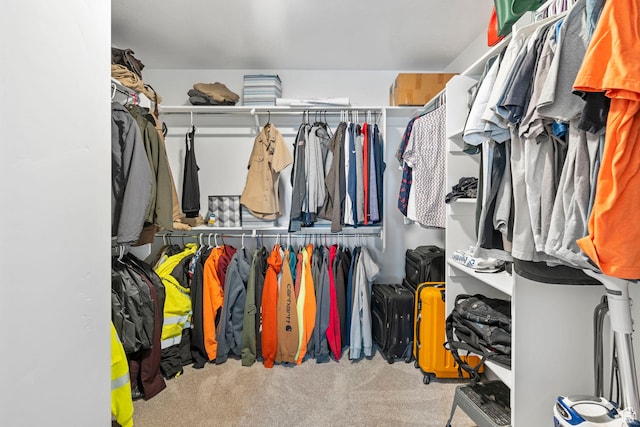 3161 N 3150 W, Plain City, UT 84404 - walk in closet featuring carpet flooring