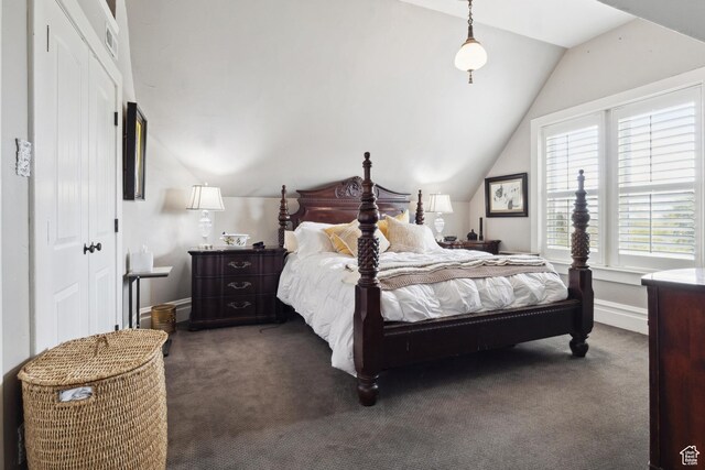 368 E 300 N, Logan, UT 84321 - bedroom with baseboards, dark colored carpet, a closet, and lofted ceiling