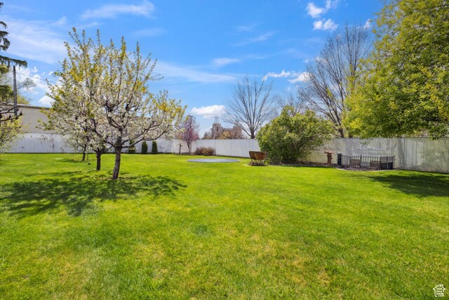 368 E 300 N, Logan, UT 84321 - view of yard featuring a fenced backyard