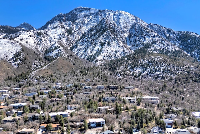 mountain view