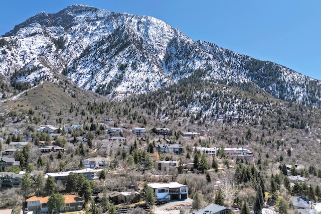 view of mountain feature