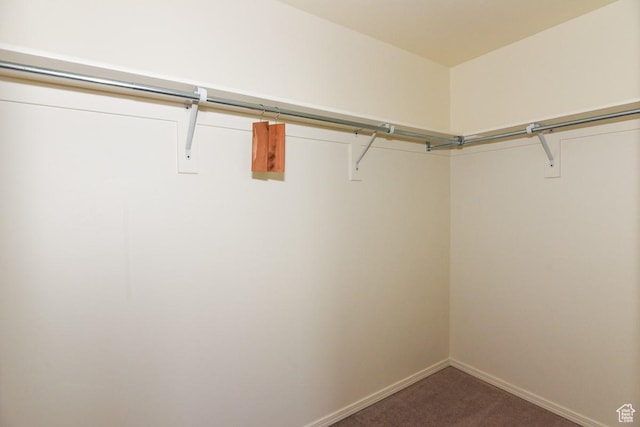 202 E Aparicio Dr, Tooele, UT 84074 - spacious closet with carpet flooring