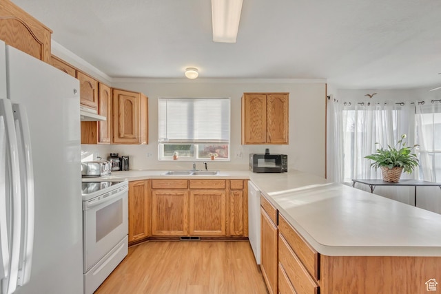 kitchen featuring light countertops, a peninsula, white appliances, a sink, and light wood-style floors