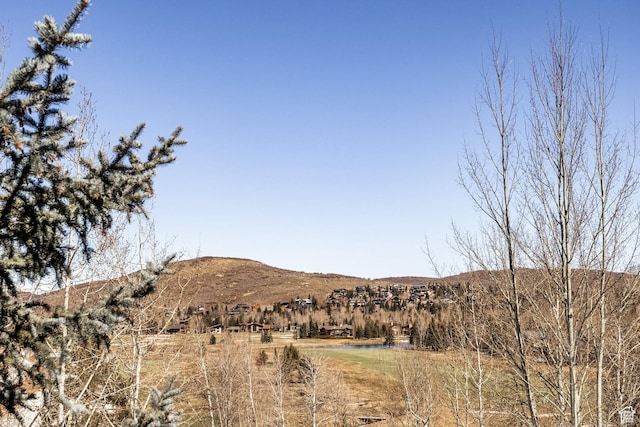 view of mountain feature with a water view