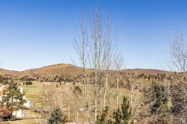 mountain view