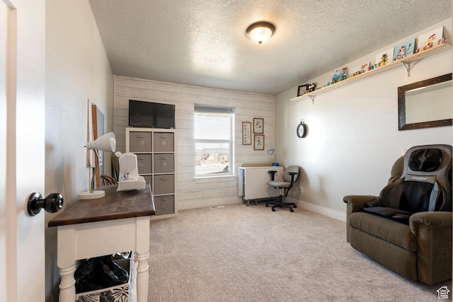 185 W 200 N, Centerfield, UT 84622 - sitting room with wood walls, carpet floors, and a textured ceiling