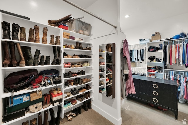 8165 S Willow Creek Cv E, Cottonwood Heights, UT 84093 - walk in closet with carpet floors
