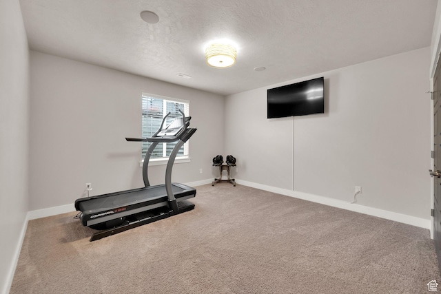 8165 S Willow Creek Cv E, Cottonwood Heights, UT 84093 - exercise room with baseboards, carpet floors, and a textured ceiling