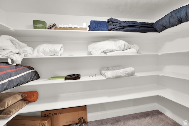 8165 S Willow Creek Cv E, Cottonwood Heights, UT 84093 - spacious closet with carpet flooring