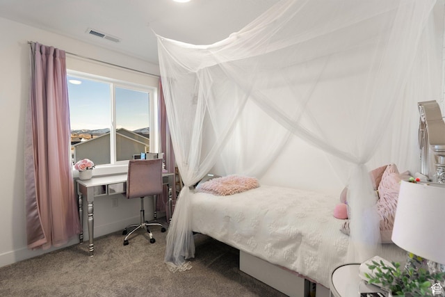 585 W 20 N, Hyrum, UT 84319 - bedroom with carpet floors and visible vents