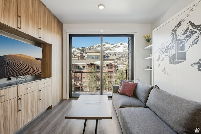 2670 Canyons Resort Dr Unit 424, Park City, UT 84098 - living room featuring wood finished floors
