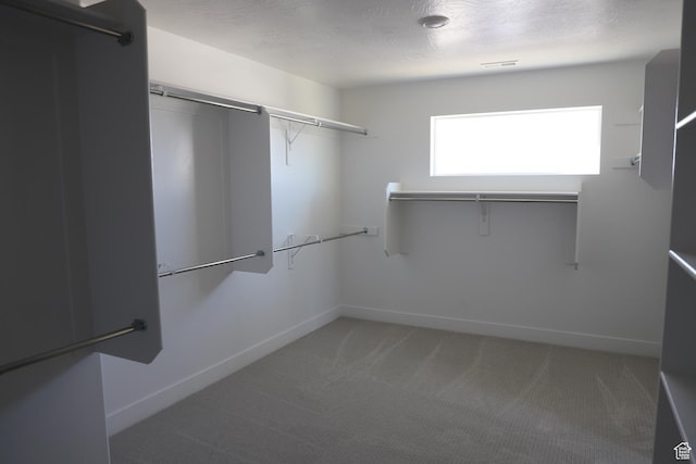 spacious closet featuring carpet floors