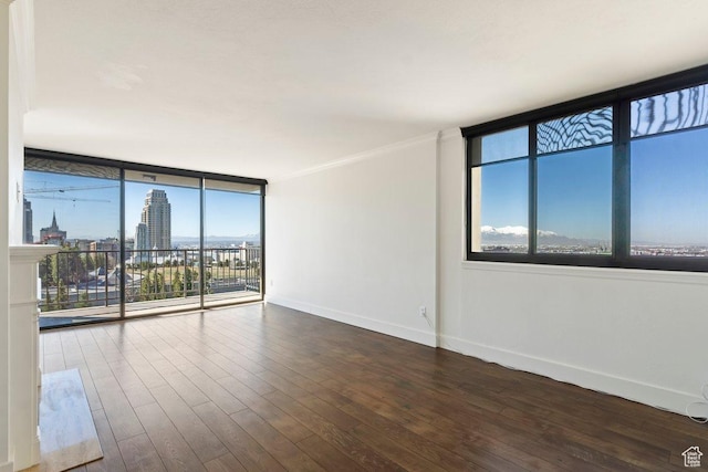spare room featuring baseboards, floor to ceiling windows, wood finished floors, and a healthy amount of sunlight