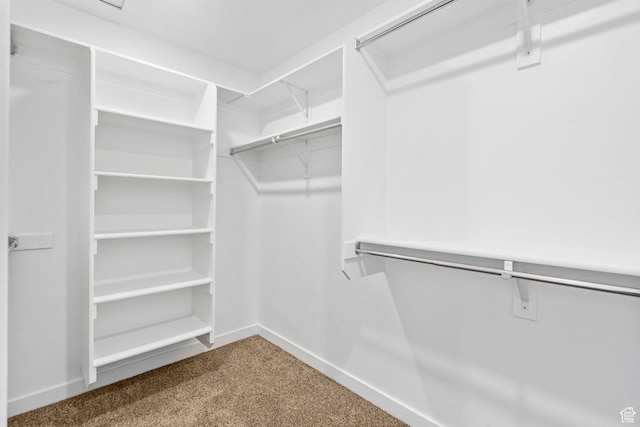 866 S Brubaker Way, Santaquin, UT 84655 - walk in closet with carpet floors