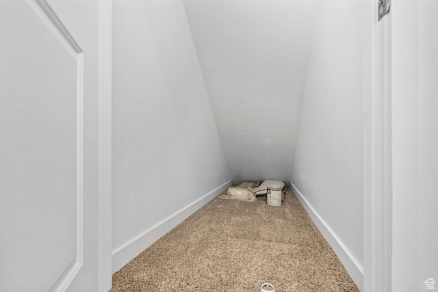 866 S Brubaker Way, Santaquin, UT 84655 - view of storage area