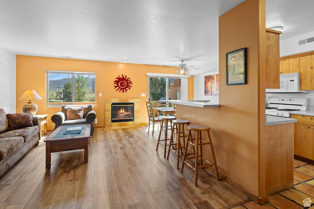 3418 E La Camino, Moab, UT 84532 - living area with visible vents, a ceiling fan, light wood-type flooring, and a fireplace