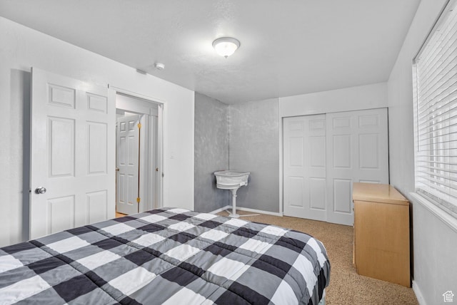 270 N 100 W, Goshen, UT 84633 - bedroom featuring baseboards, a closet, and carpet flooring