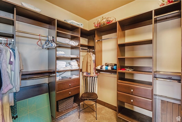 428 N Northstar Dr, St George, UT 84770 - view of spacious closet