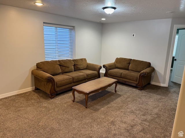 245 E 660 S, Willard, UT 84340 - living area featuring baseboards, carpet, a textured ceiling, and plenty of natural light