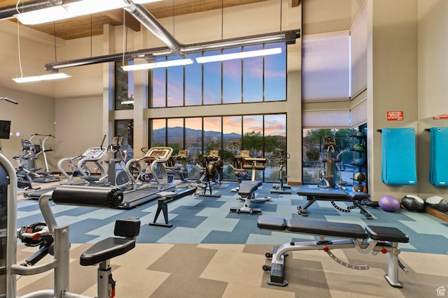 714 N Millcreek Springs Dr, Washington, UT 84780 - gym with a towering ceiling, carpet, and a mountain view