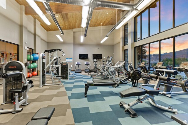 714 N Millcreek Springs Dr, Washington, UT 84780 - gym with a high ceiling, carpet flooring, and wood ceiling