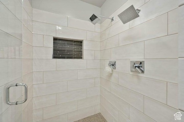 3052 N Snow Canyon Pkwy Unit 36, St George, UT 84770 - full bathroom with a shower stall
