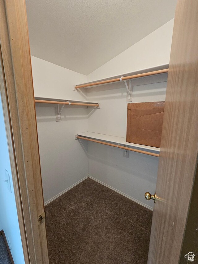2350 S Red Creek Rd, Fruitland, UT 84027 - walk in closet featuring lofted ceiling and carpet flooring