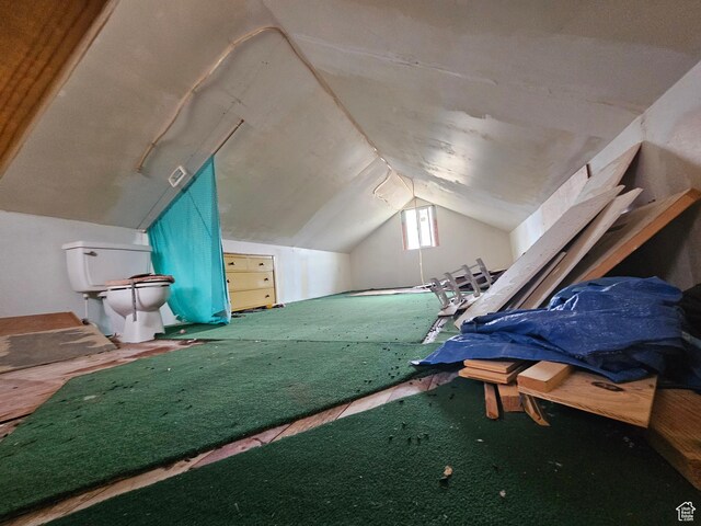 2350 S Red Creek Rd, Fruitland, UT 84027 - additional living space with lofted ceiling