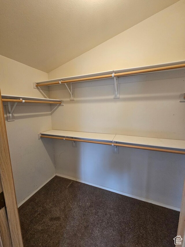 2350 S Red Creek Rd, Fruitland, UT 84027 - spacious closet featuring vaulted ceiling and dark colored carpet