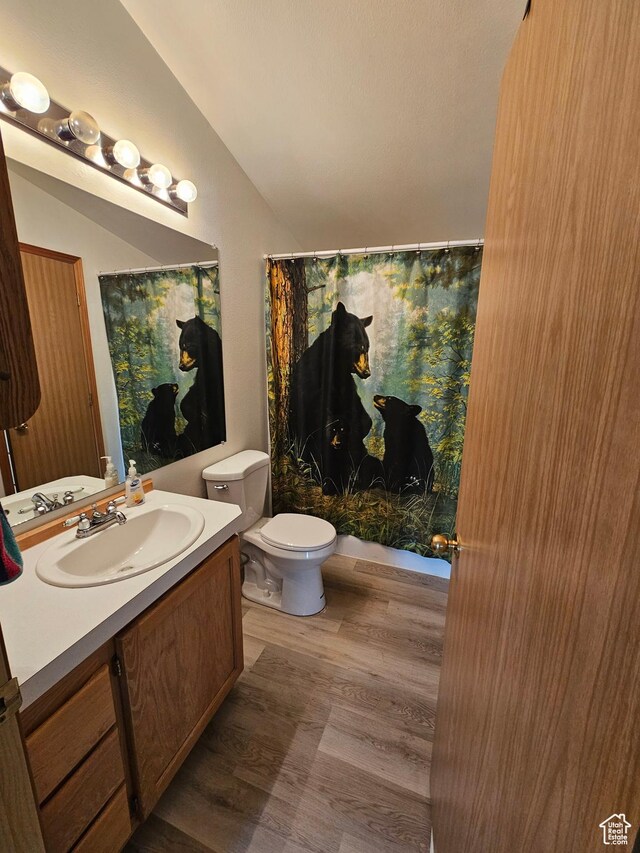 2350 S Red Creek Rd, Fruitland, UT 84027 - full bathroom with vaulted ceiling, toilet, vanity, wood finished floors, and shower / tub combo