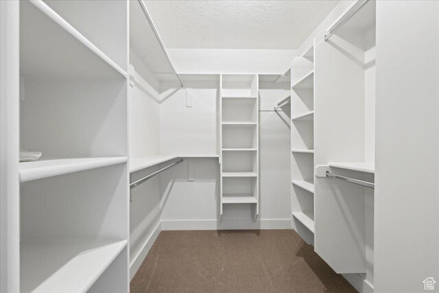 2230 S 635 W Unit B, Perry, UT 84302 - walk in closet featuring dark carpet