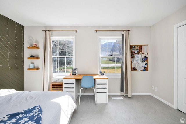 385 N 300 E, Providence, UT 84332 - carpeted bedroom with multiple windows, visible vents, and baseboards