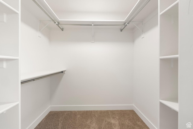 514 N 450 W, Orem, UT 84057 - walk in closet featuring carpet floors
