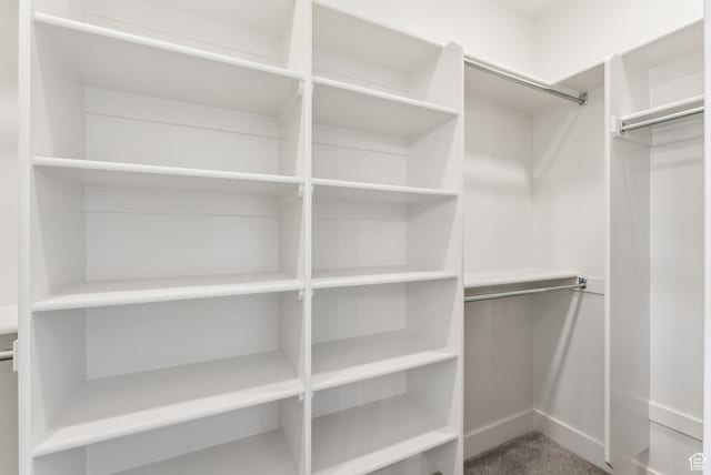 walk in closet featuring carpet flooring