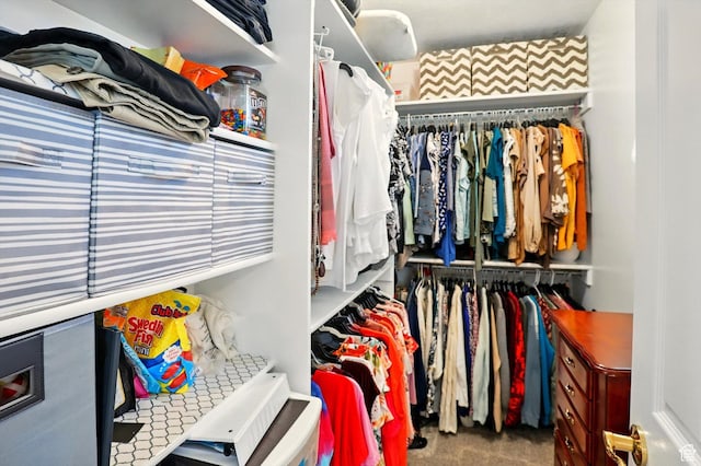 3011 N 1000 W, Pleasant View, UT 84414 - spacious closet featuring carpet flooring