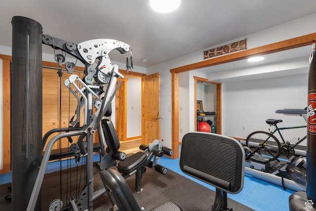 376 W Golden Harvest Rd, Draper, UT 84020 - view of workout area