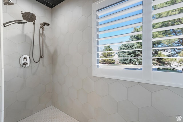 376 W Golden Harvest Rd, Draper, UT 84020 - full bath with a tile shower