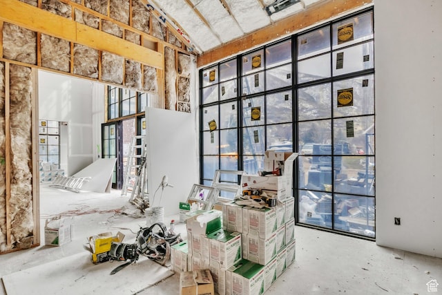 miscellaneous room with vaulted ceiling