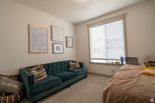 1438 N Jerry Gertsch Ln, Midway, UT 84049 - carpeted bedroom with baseboards