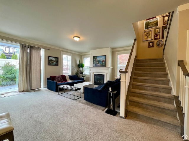 carpeted living room featuring a wealth of natural light, a glass covered fireplace, and stairway