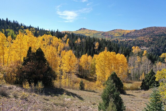 Cedar City, UT 84720 - photo 2