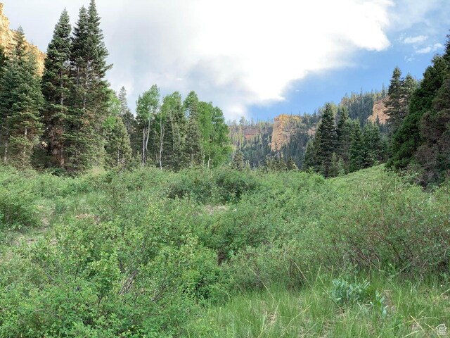 Cedar City, UT 84720 - photo 4