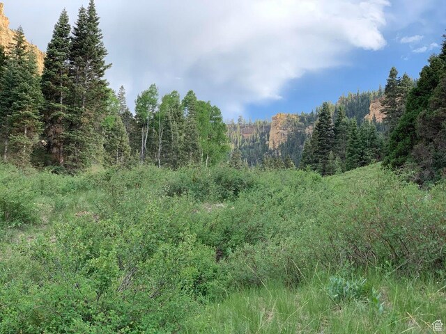 Cedar City, UT 84720 - photo 20
