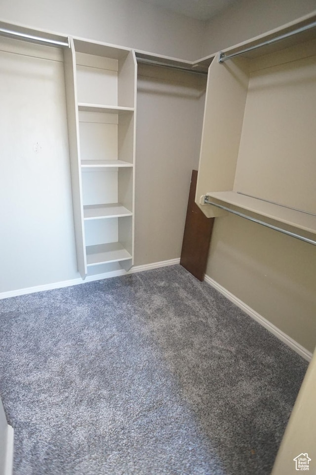 walk in closet with carpet floors