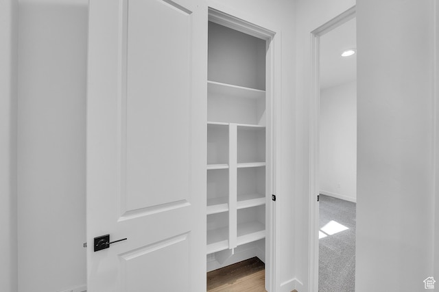 253 E Polaris Dr Unit 105, Saratoga Springs, UT 84045 - view of closet