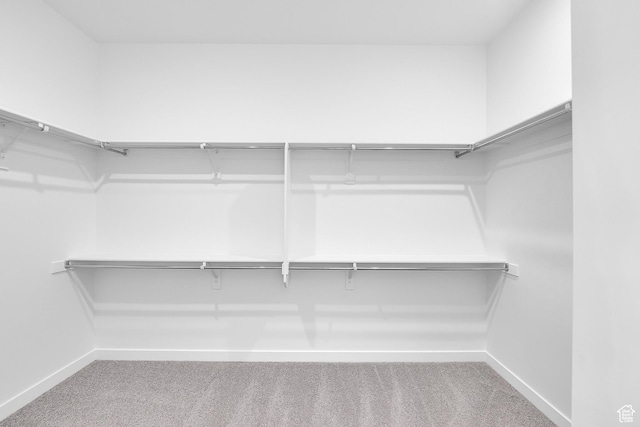 253 E Polaris Dr Unit 105, Saratoga Springs, UT 84045 - walk in closet with carpet