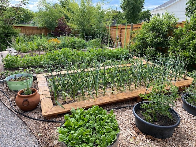 1869 Southpointe Ct, Logan, UT 84341 - view of yard featuring fence and a vegetable garden